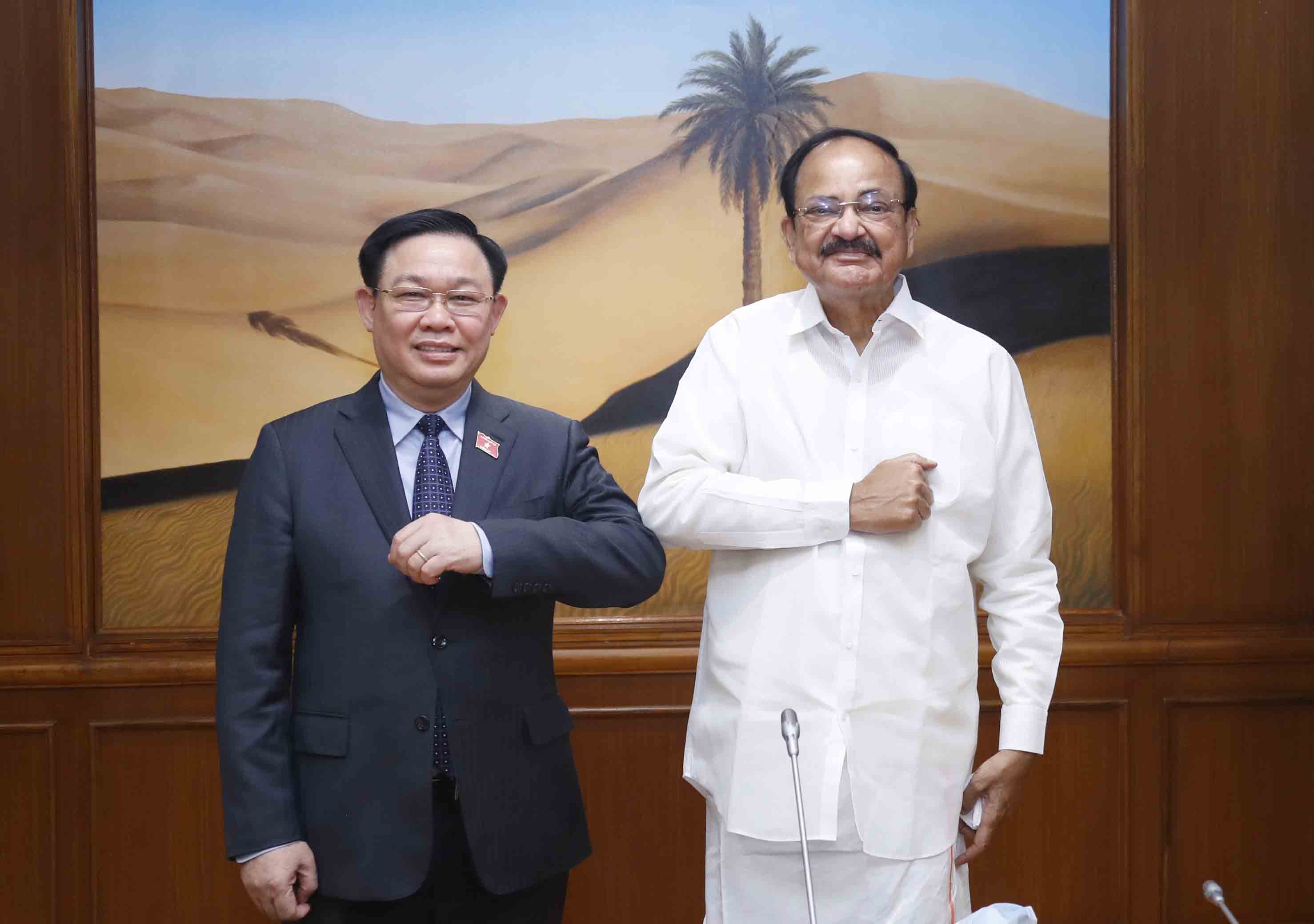 Chủ tịch Quốc hội Vương Đình Huệ gặp Phó Tổng thống kiêm Chủ tịch Thượng viện Ấn Độ